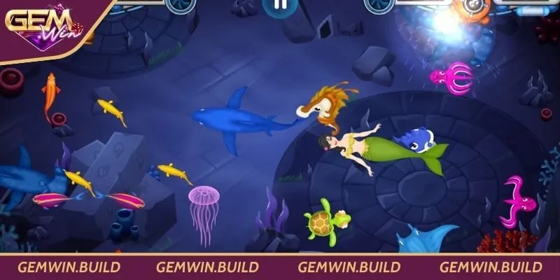 Tập trung săn cá nhỏ